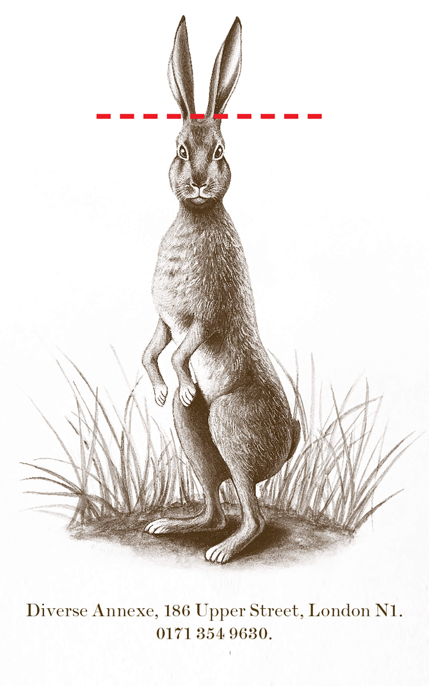 hare